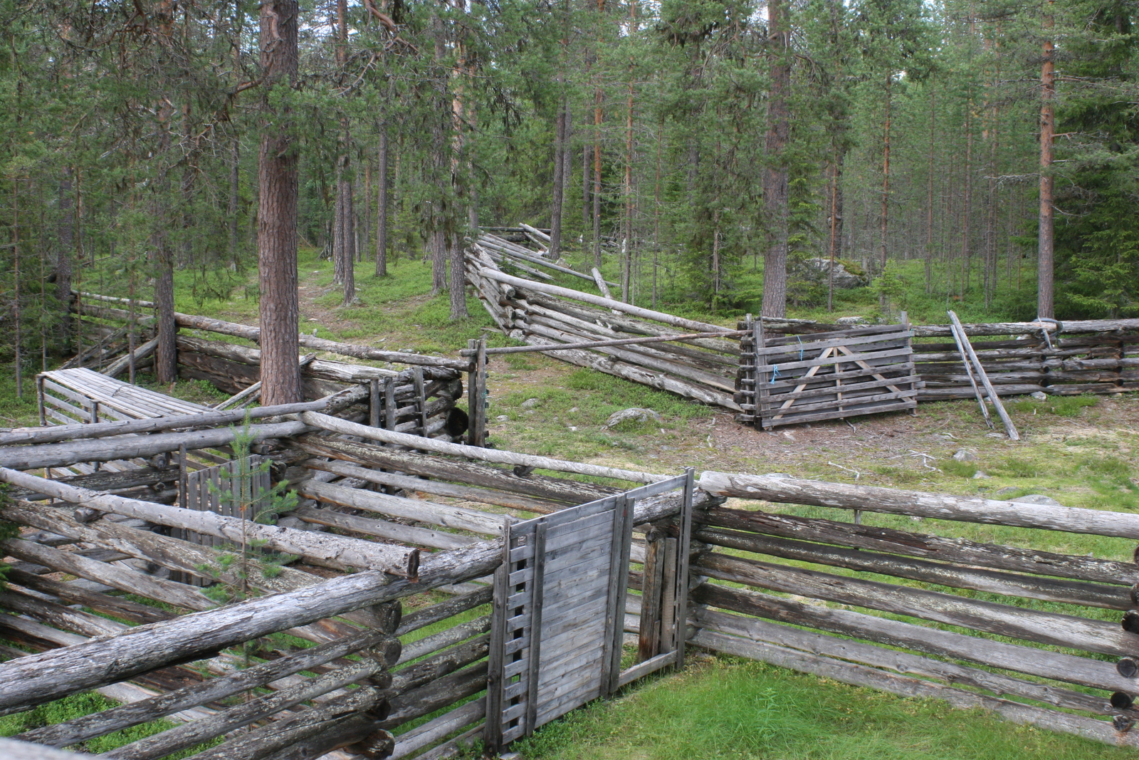 Oulangan kansallispuisto.  Poroaitaus oli mielenkiintoinen lisä vaellusreitillä. Sen toimintaa selitettiin perusteellisessa opaskyltissä.